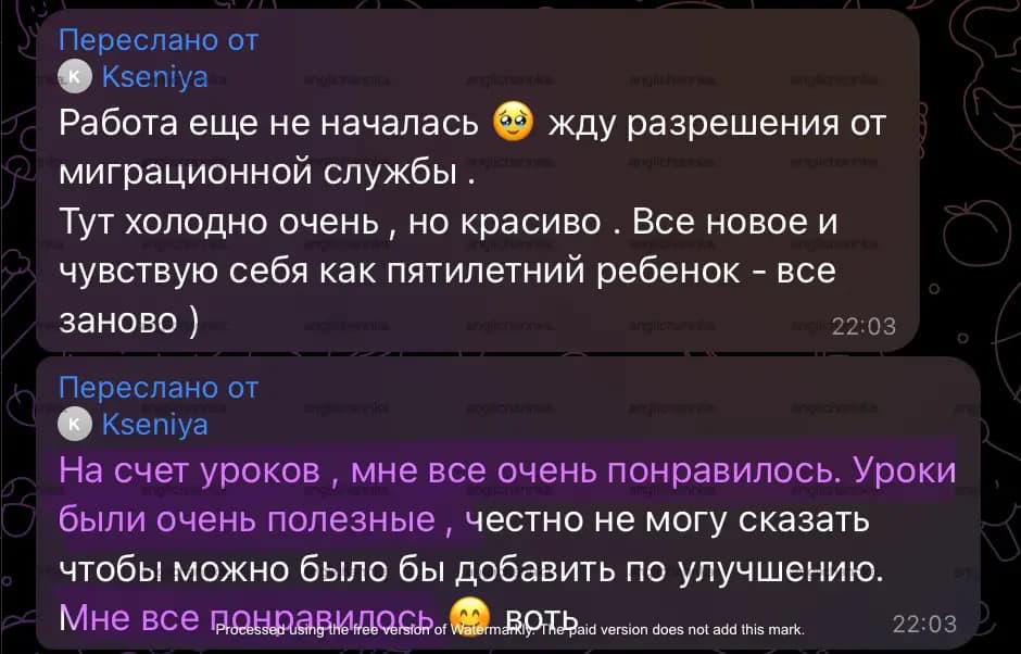 Отзыв Ксения, iOS developer о занятиях в онлайн школе бизнес английского Энлерно